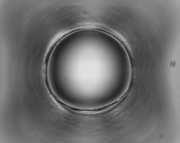 X0000096391472200801241249