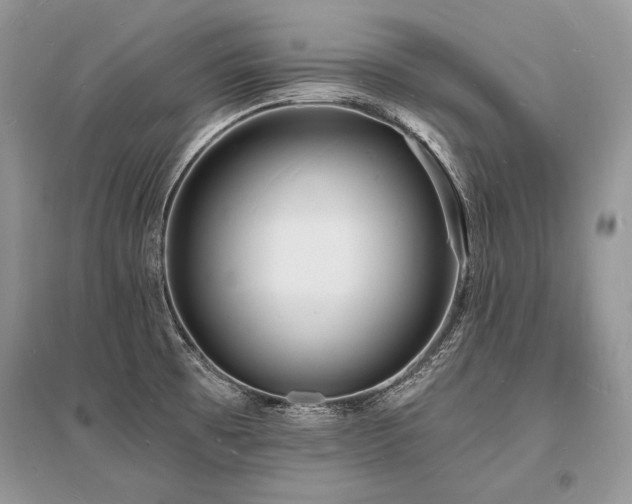 X0000096391473200801241249