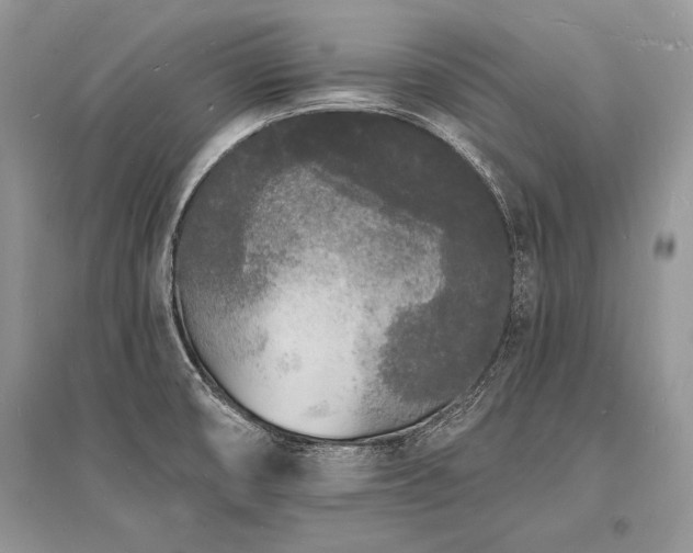 X0000096391474200801241249