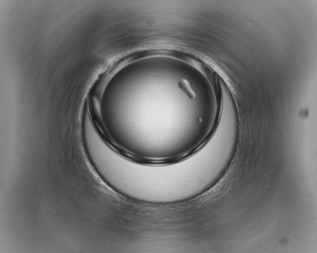 X0000096391477200801241249