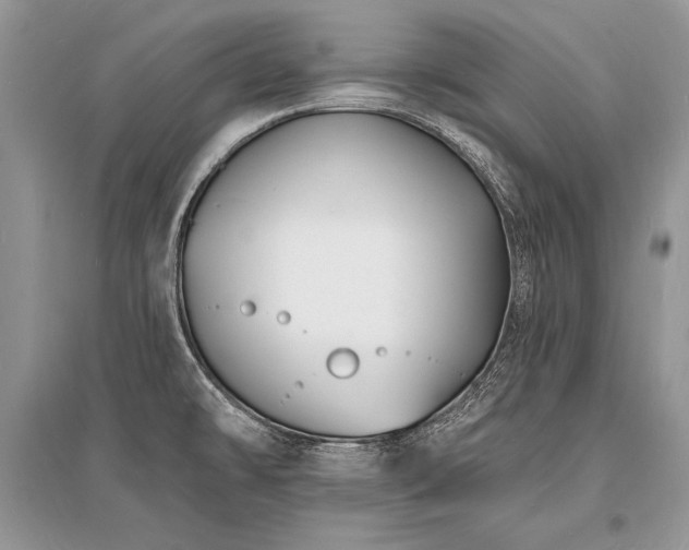 X0000096391478200801241249