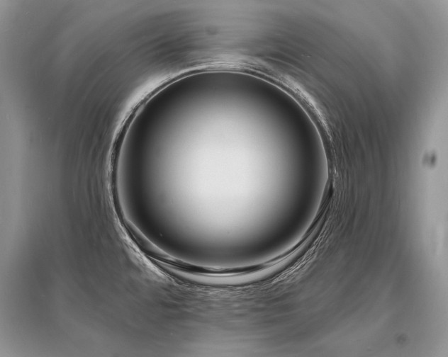 X0000096391480200801241249