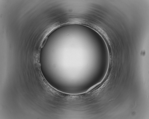 X0000096391481200801241249