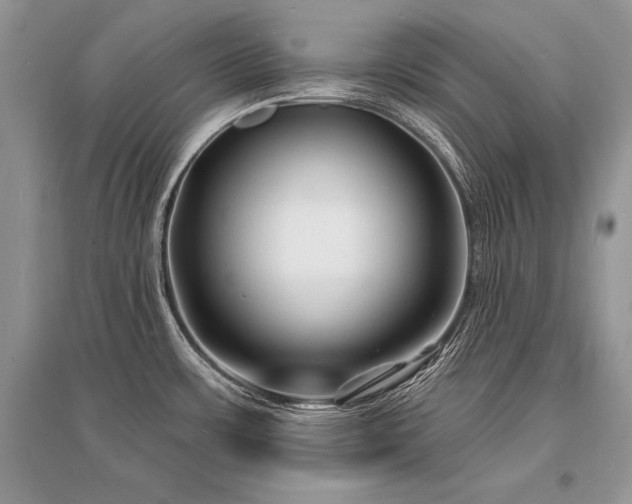X0000096391483200801241249