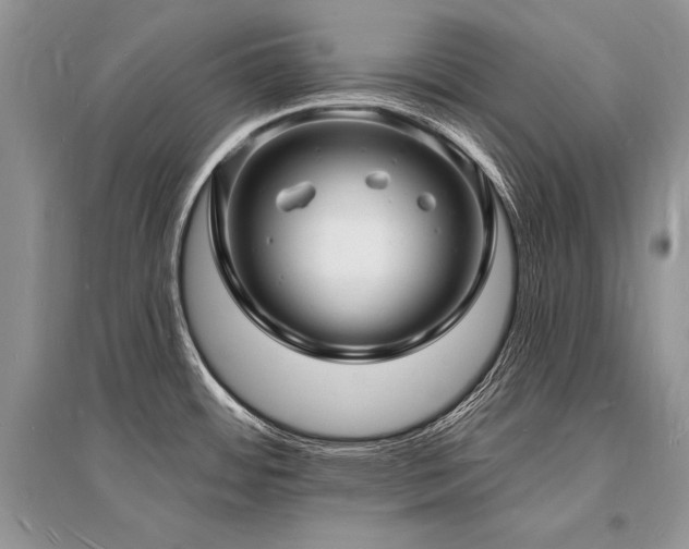 X0000096391484200801241249