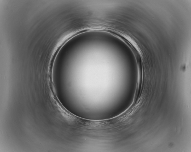 X0000096391485200801241249