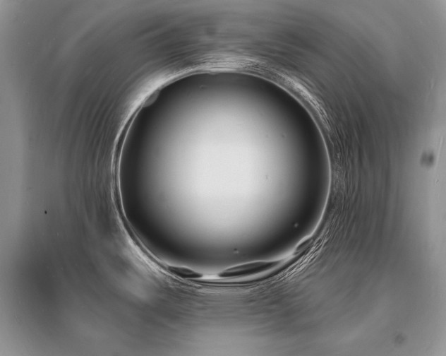 X0000096391487200801241249