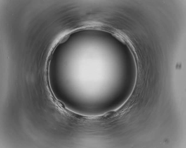 X0000096391488200801241249