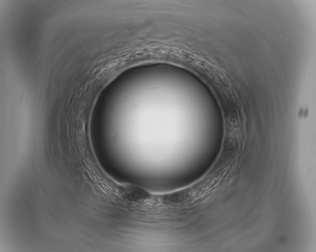 X0000096391489200801241248