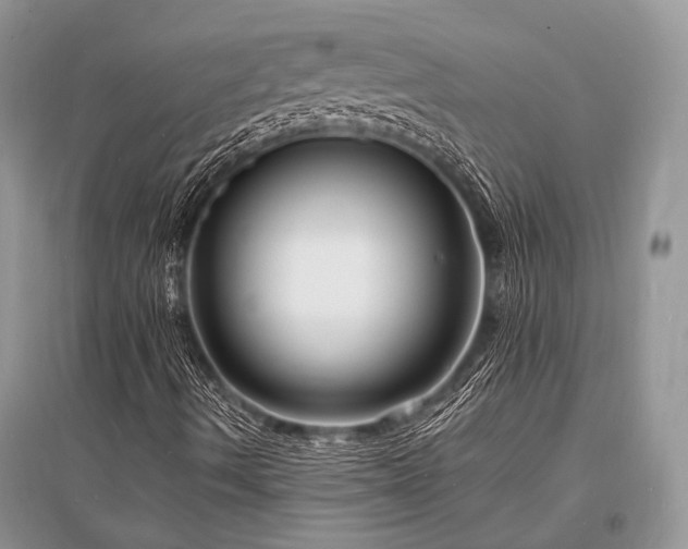 X0000096391490200801241248