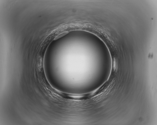 X0000096391492200801241248
