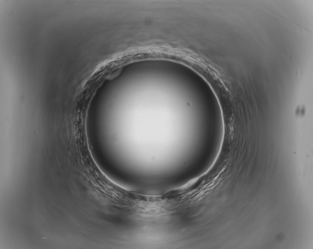 X0000096391494200801241248