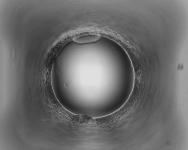 X0000096391495200801241248