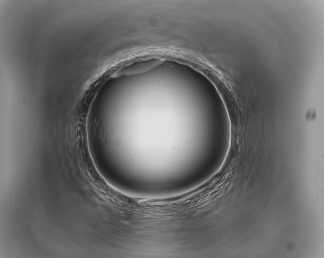 X0000096391496200801241248