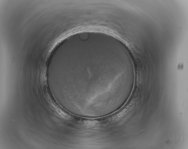 X0000096391498200801241248