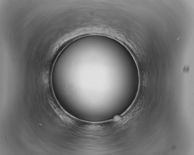 X0000096391499200801241248