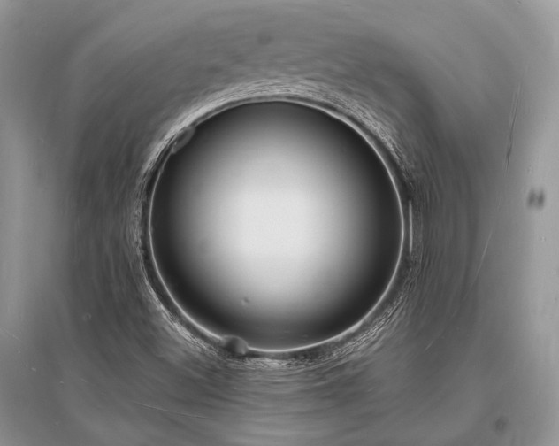X0000096391500200801241248
