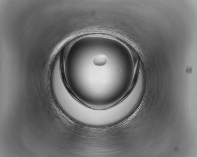 X0000096391502200801241248