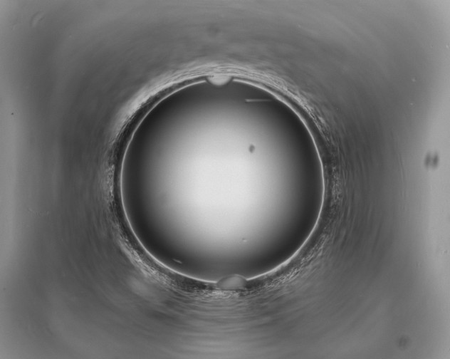 X0000096391503200801241248