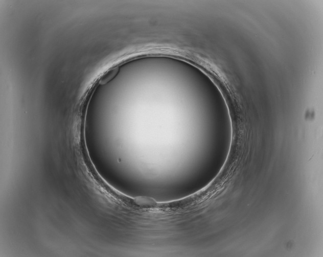 X0000096391504200801241248