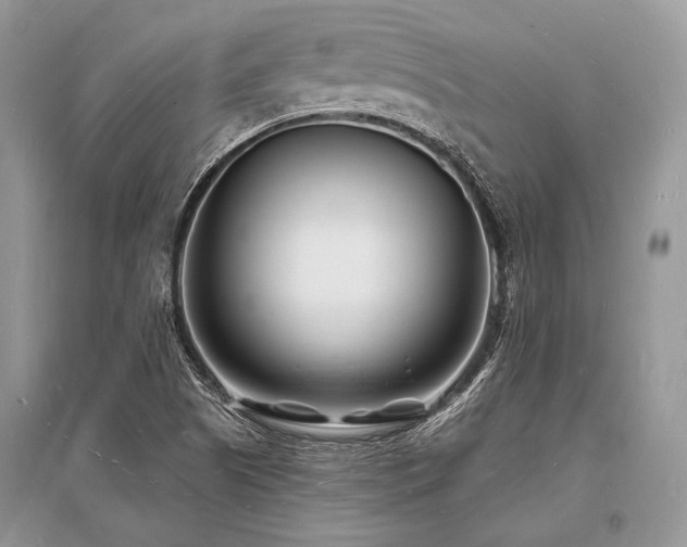 X0000096391505200801241248