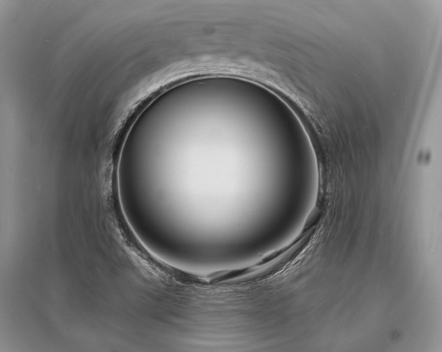 X0000096391507200801241248