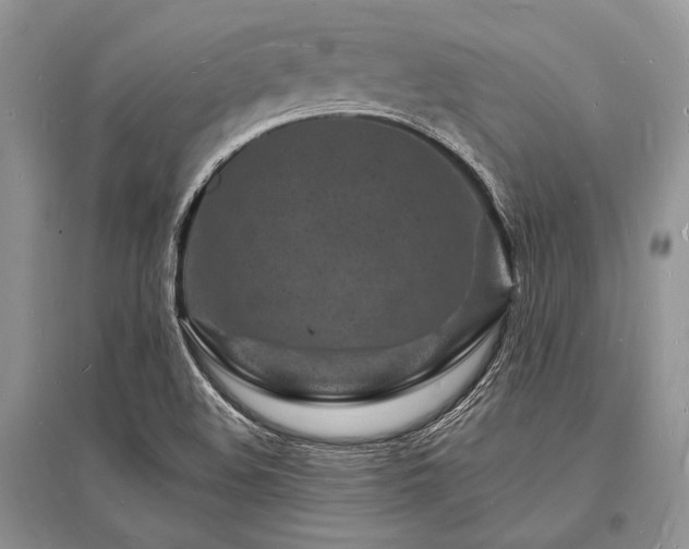 X0000096391508200801241248