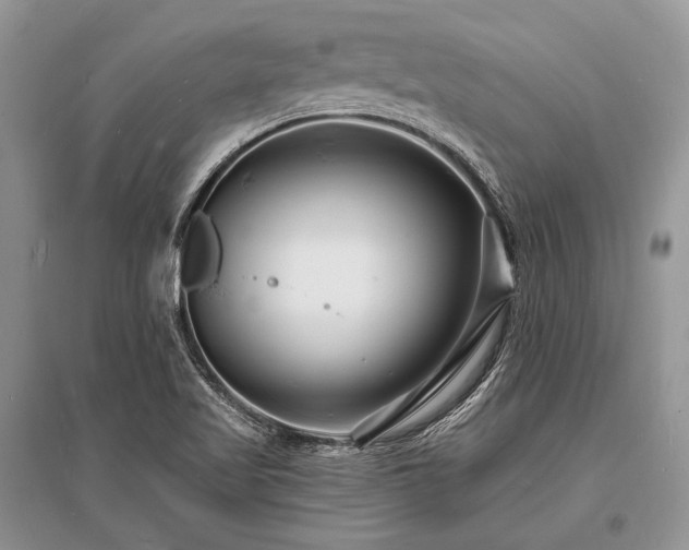 X0000096391509200801241248