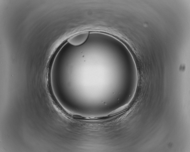 X0000096391511200801241248