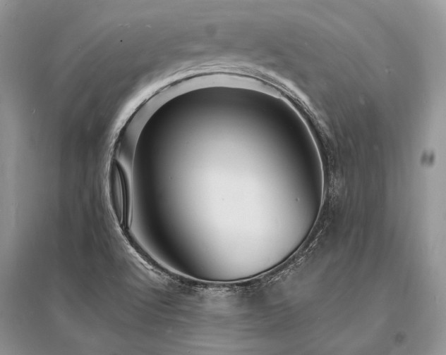 X0000096391512200801241248