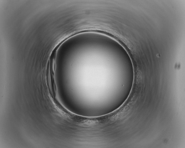 X0000096391513200801241248