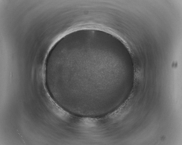 X0000096391514200801241248