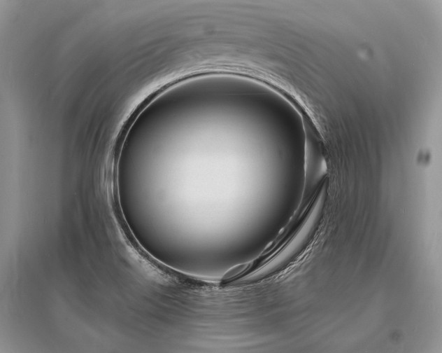 X0000096391515200801241248