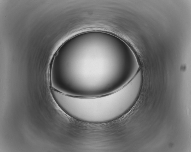 X0000096391516200801241248