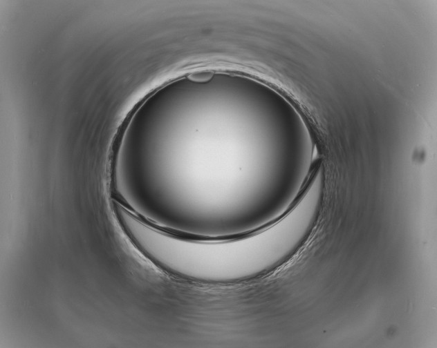 X0000096391518200801241248
