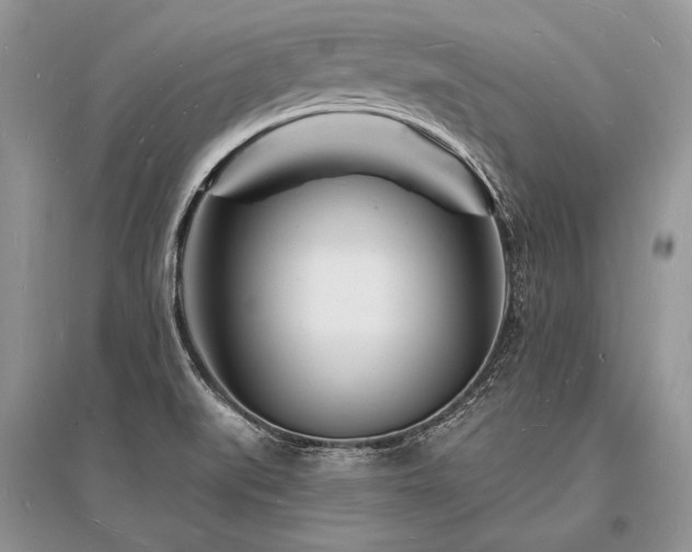 X0000096391519200801241248