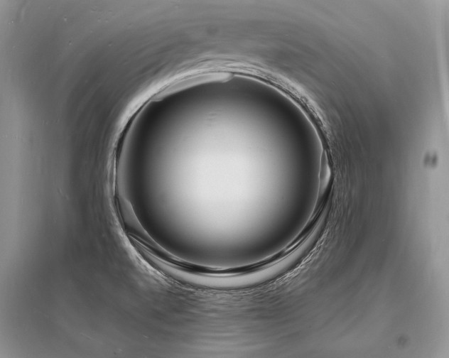 X0000096391520200801241248