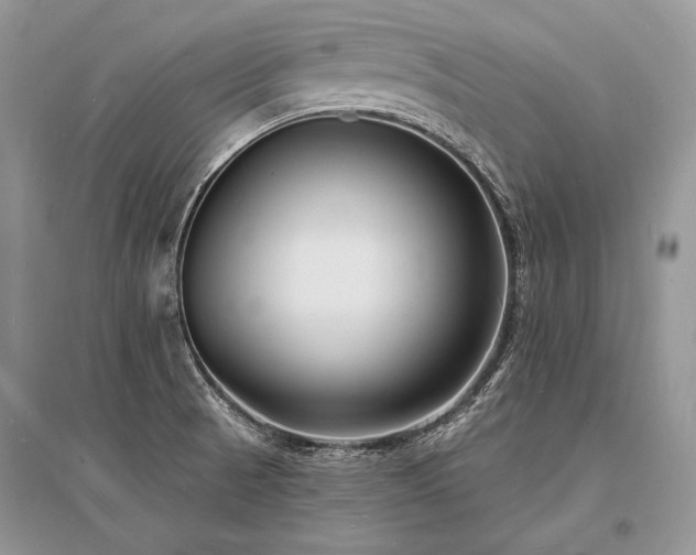 X0000096391521200801241248