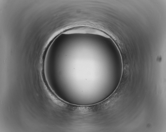 X0000096391523200801241248