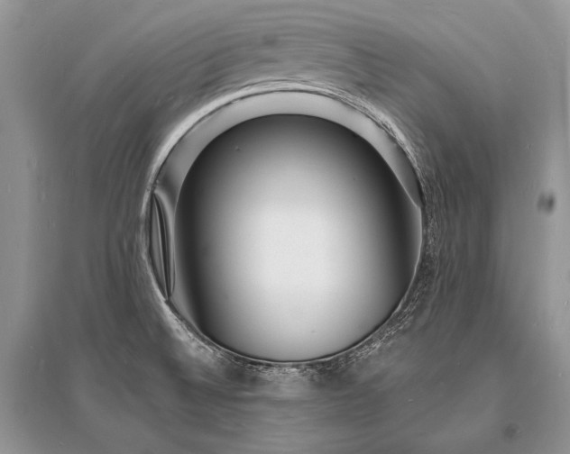 X0000096391524200801241248