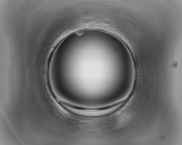 X0000096391525200801241249