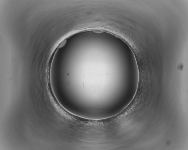 X0000096391526200801241249