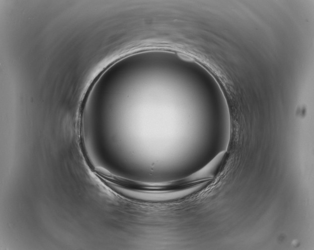 X0000096391527200801241249
