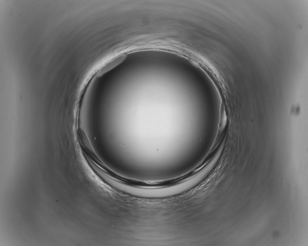 X0000096391528200801241249