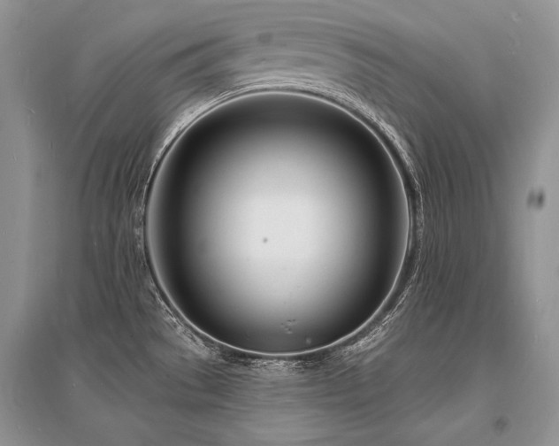 X0000096391529200801241249