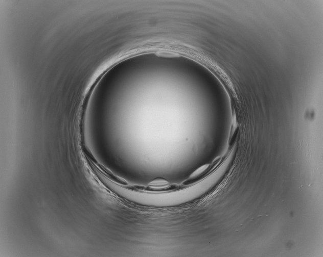 X0000096391530200801241249