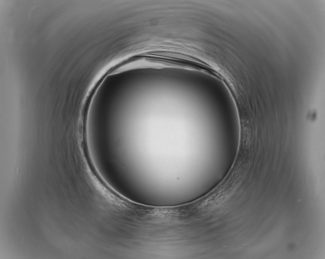 X0000096391531200801241249