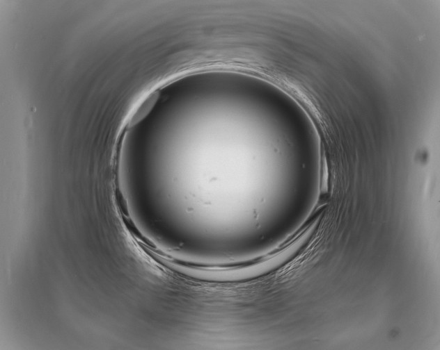 X0000096391532200801241249