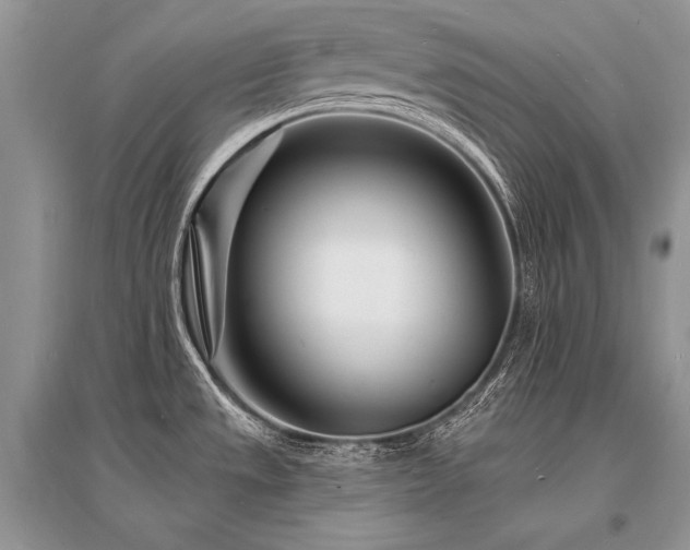 X0000096391533200801241249