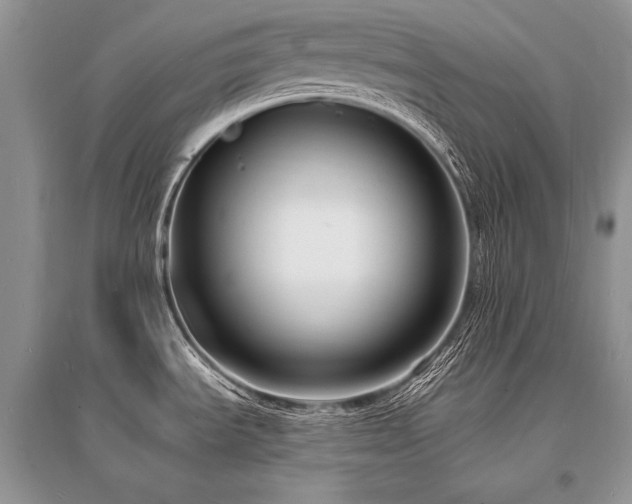 X0000096391535200801241249